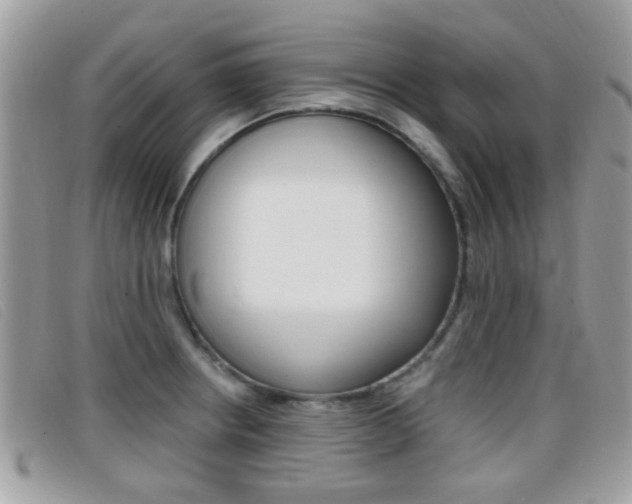 X0000096711234200802051030