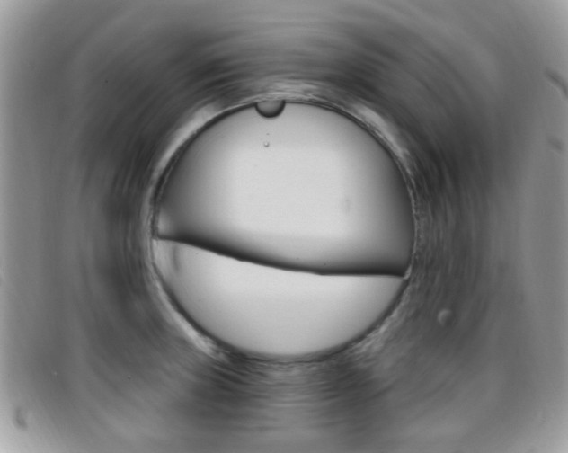 X0000096711235200802051030
