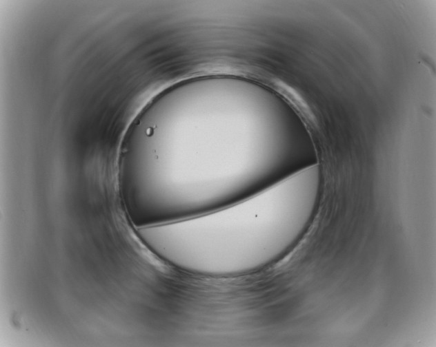 X0000096711236200802051030