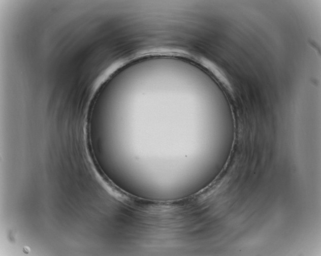 X0000096711237200802051030