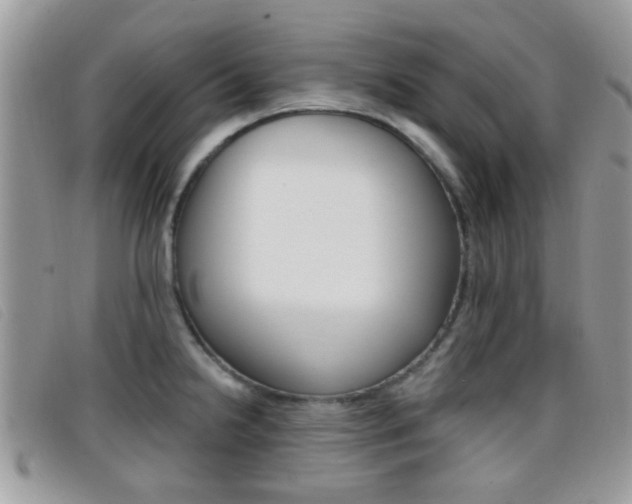 X0000096711238200802051030
