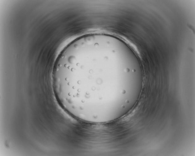 X0000096711239200802051030