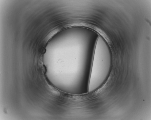X0000096711241200802051030