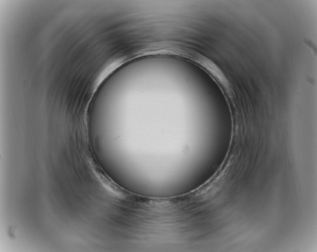 X0000096711242200802051030
