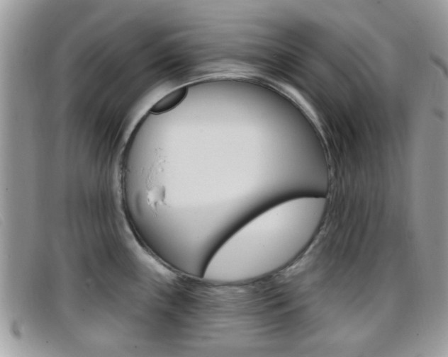 X0000096711243200802051030