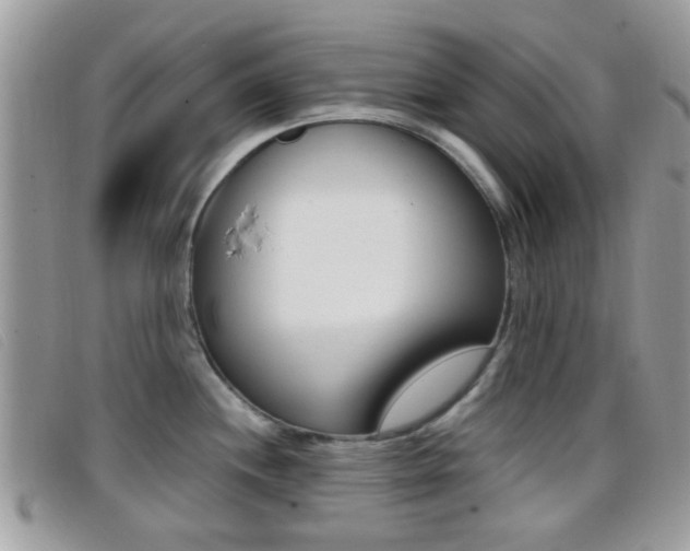 X0000096711244200802051030