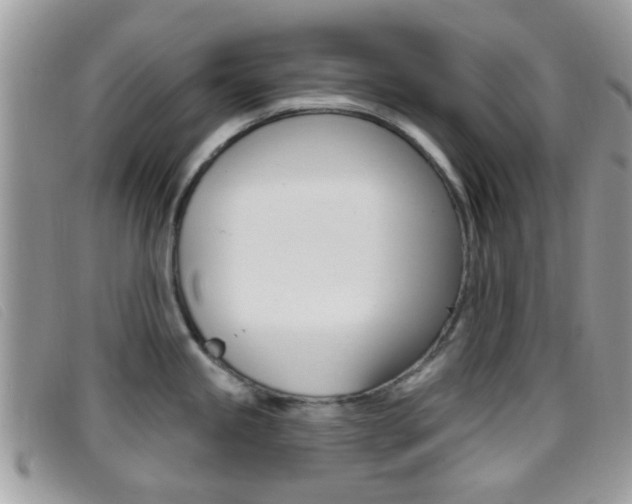 X0000096711245200802051030