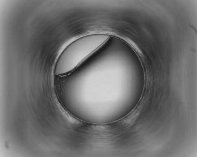 X0000096711246200802051030