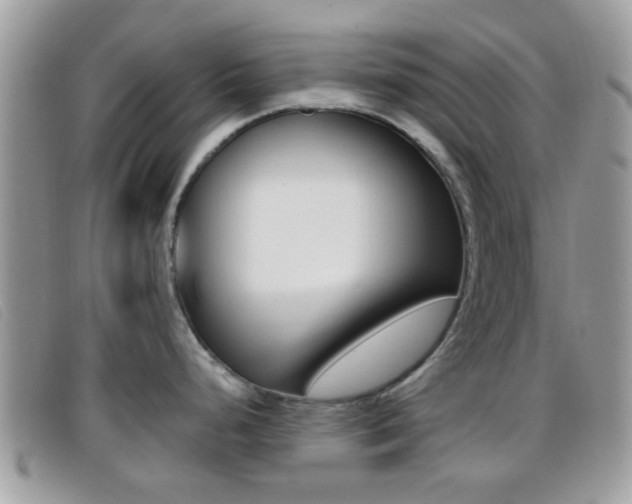 X0000096711248200802051030