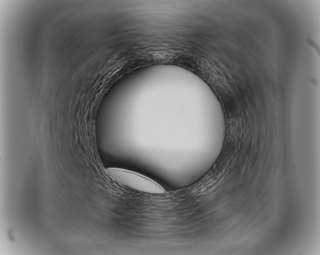 X0000096711249200802051029