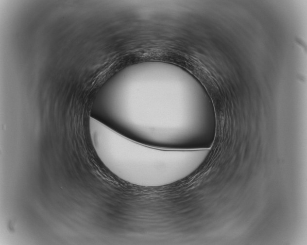 X0000096711250200802051029
