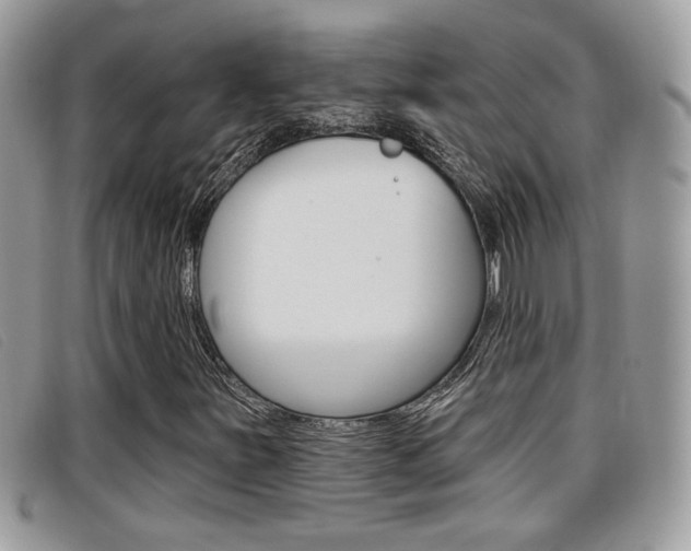 X0000096711251200802051029