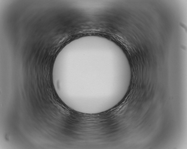 X0000096711252200802051029