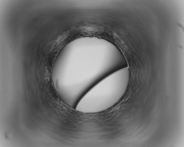 X0000096711253200802051029