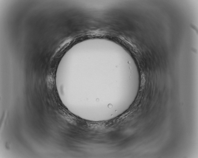 X0000096711254200802051029
