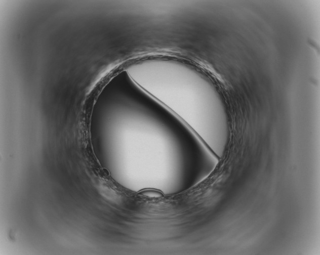 X0000096711256200802051029