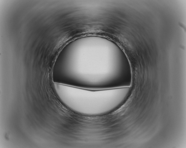 X0000096711257200802051029