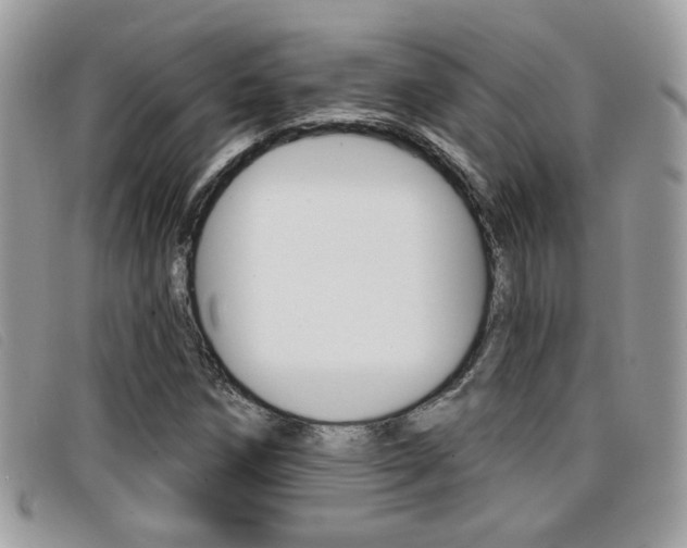 X0000096711258200802051029