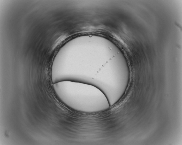 X0000096711259200802051029