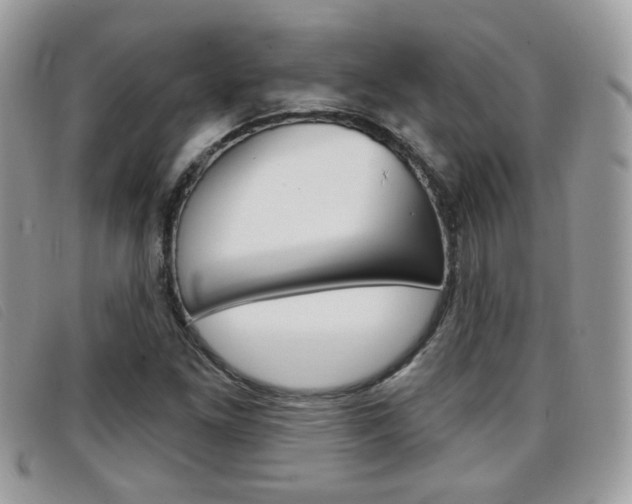 X0000096711261200802051029