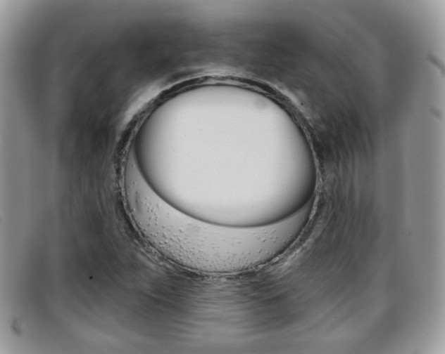 X0000096711263200802051029