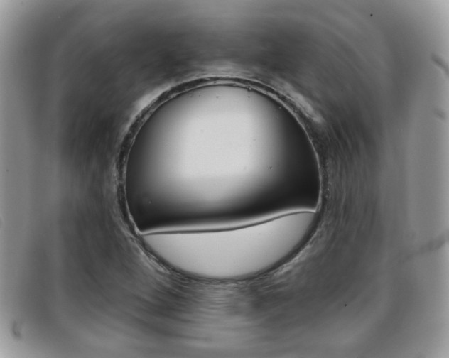 X0000096711264200802051029