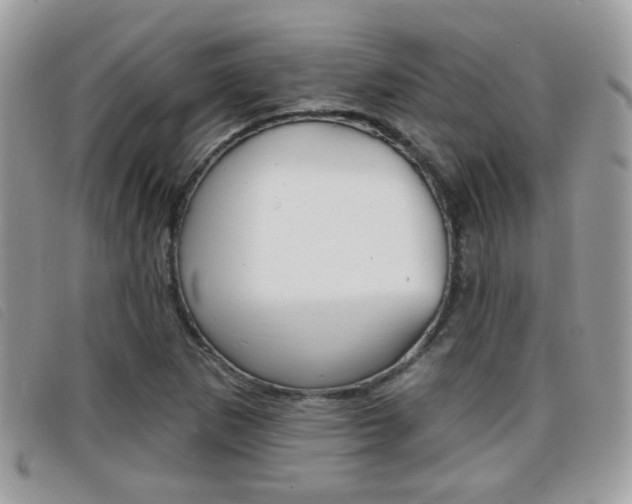 X0000096711265200802051029