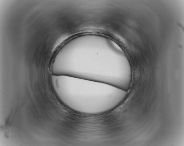 X0000096711267200802051029