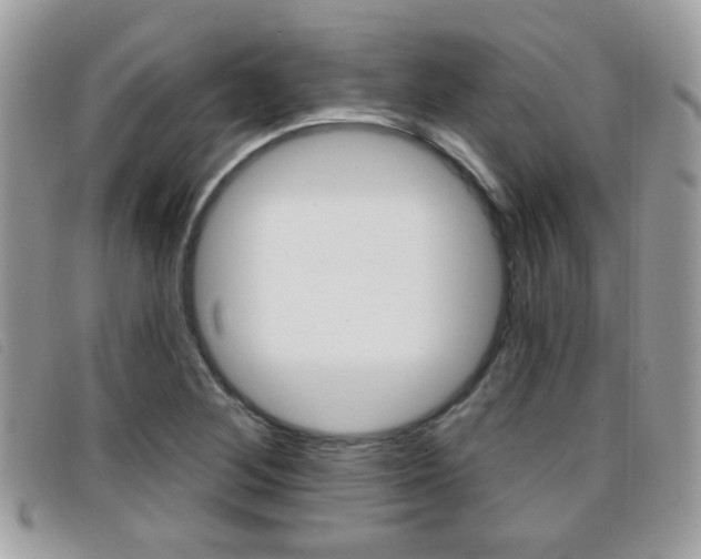 X0000096711268200802051029