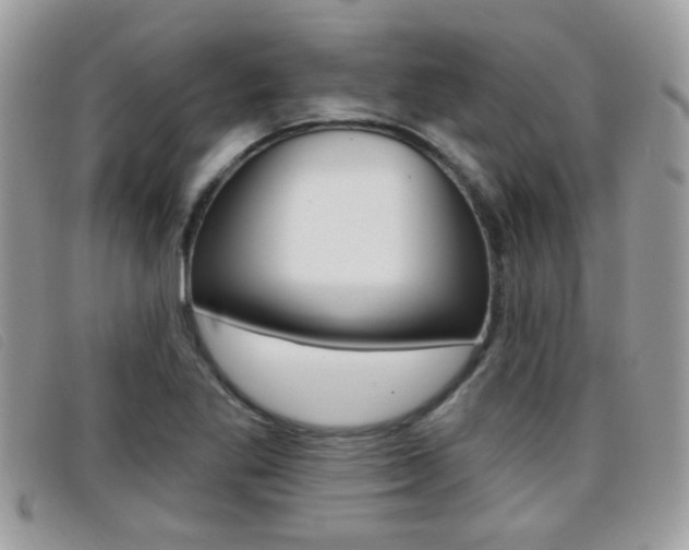 X0000096711269200802051029