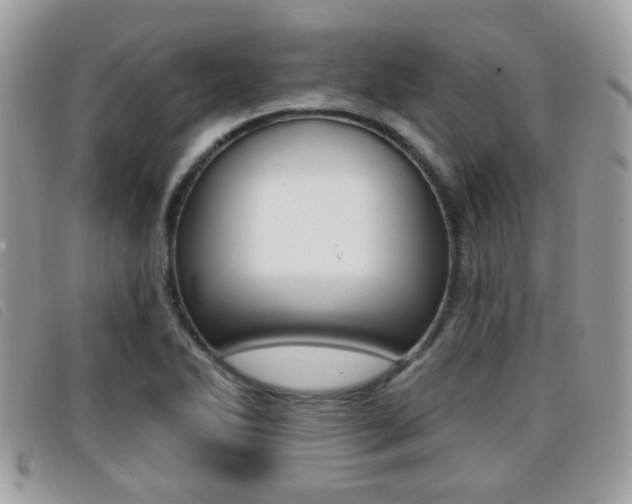 X0000096711270200802051029
