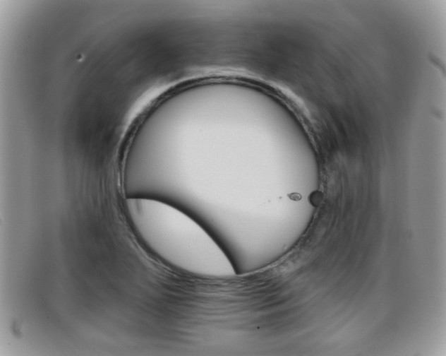 X0000096711271200802051029
