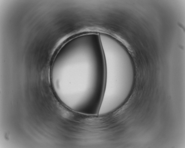 X0000096711272200802051029
