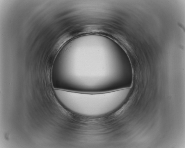 X0000096711273200802051029
