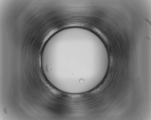 X0000096711274200802051029