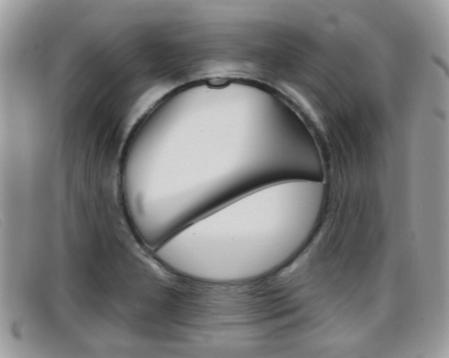 X0000096711277200802051029