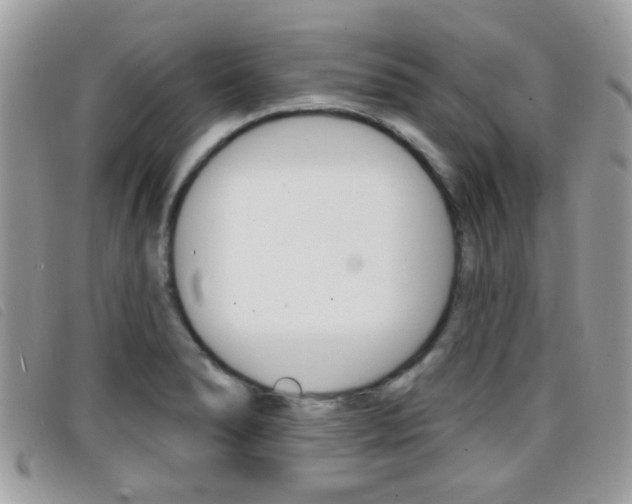 X0000096711278200802051029