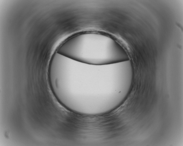 X0000096711279200802051029