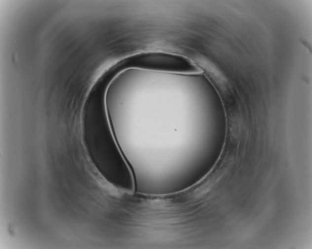 X0000096711280200802051029