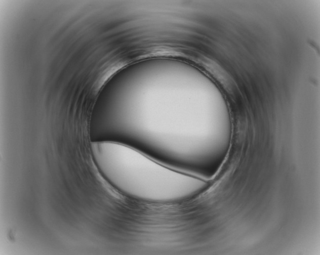 X0000096711281200802051029