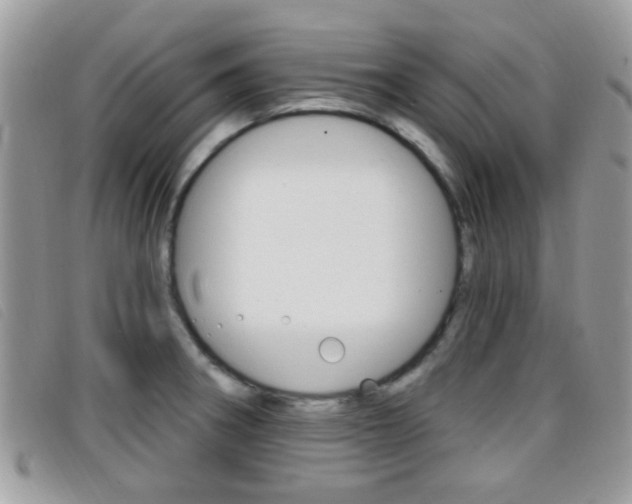 X0000096711282200802051029