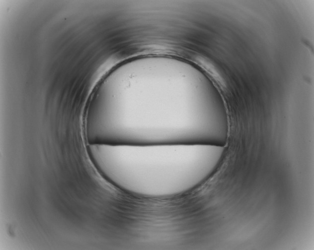 X0000096711283200802051029