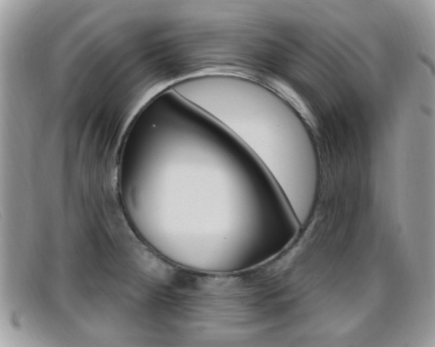 X0000096711284200802051029