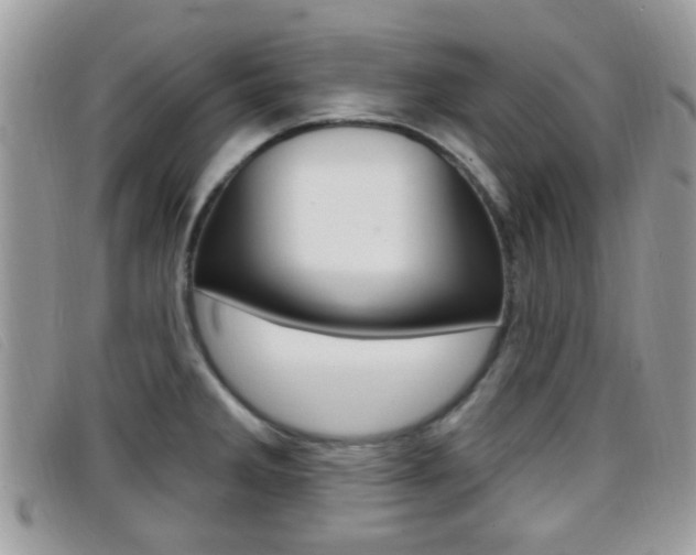 X0000096711285200802051029