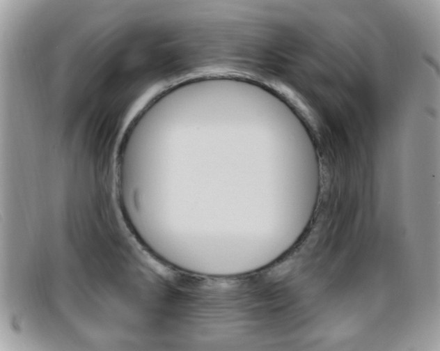 X0000096711286200802051029