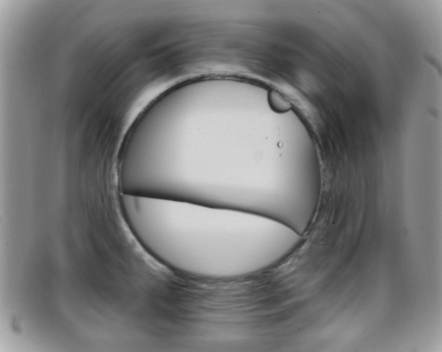 X0000096711287200802051029