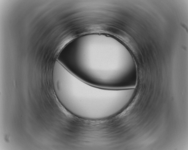X0000096711289200802051029