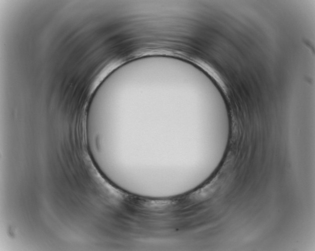 X0000096711290200802051029