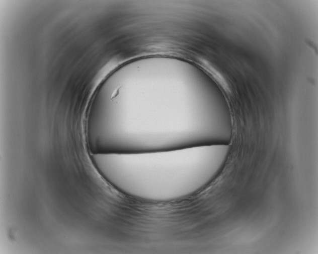 X0000096711291200802051029