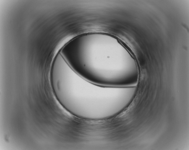X0000096711293200802051029
